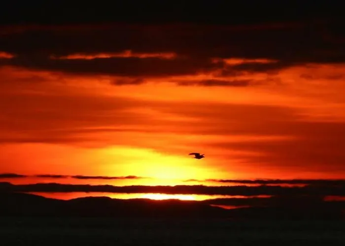 Casa vacanze Brygge Rorbu Ballstad